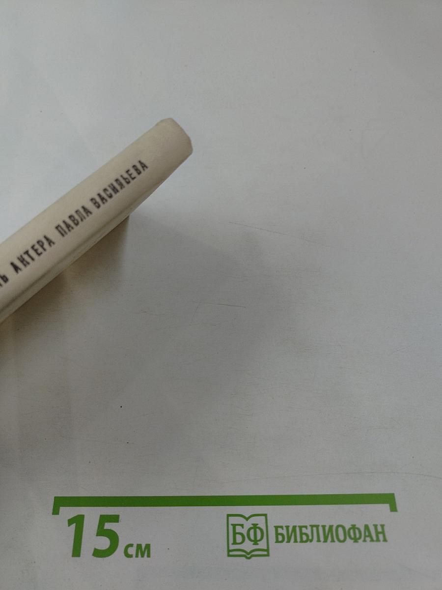 Жизнь актера Павла Васильева