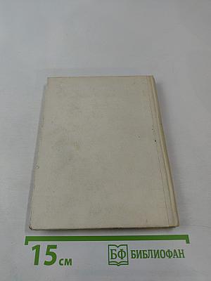 Рыцарь книги