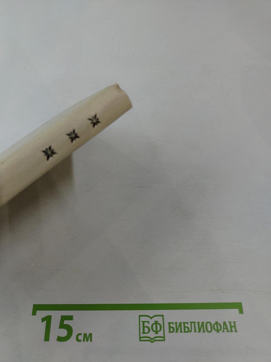 Рыцарь книги