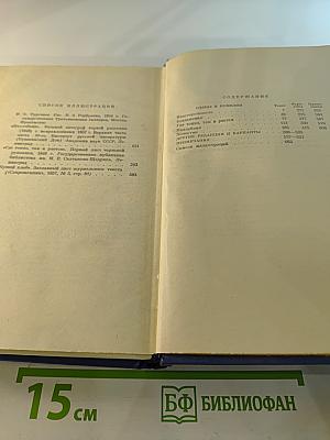 Сочинения. Том второй. Сцены и комедии 1843-1849