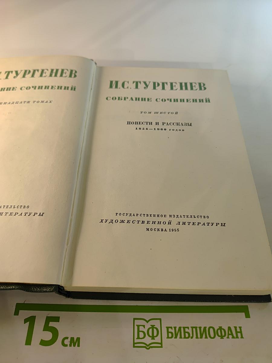 Собрание сочинений И.С. Тургенева. Том шестой: Повести и рассказы 1854-1860 годов