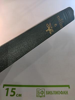 Собрание сочинений И.С. Тургенева. Том шестой: Повести и рассказы 1854-1860 годов