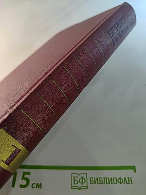 Собрание сочинений Бориса Полевого. Том 1: Горячий цех. Повесть о настоящем человеке