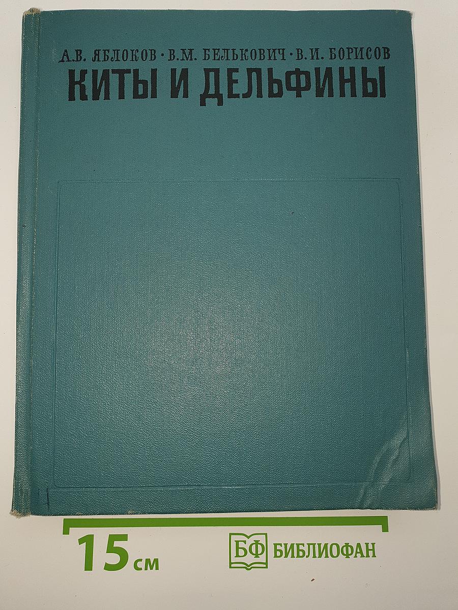 Киты и дельфины