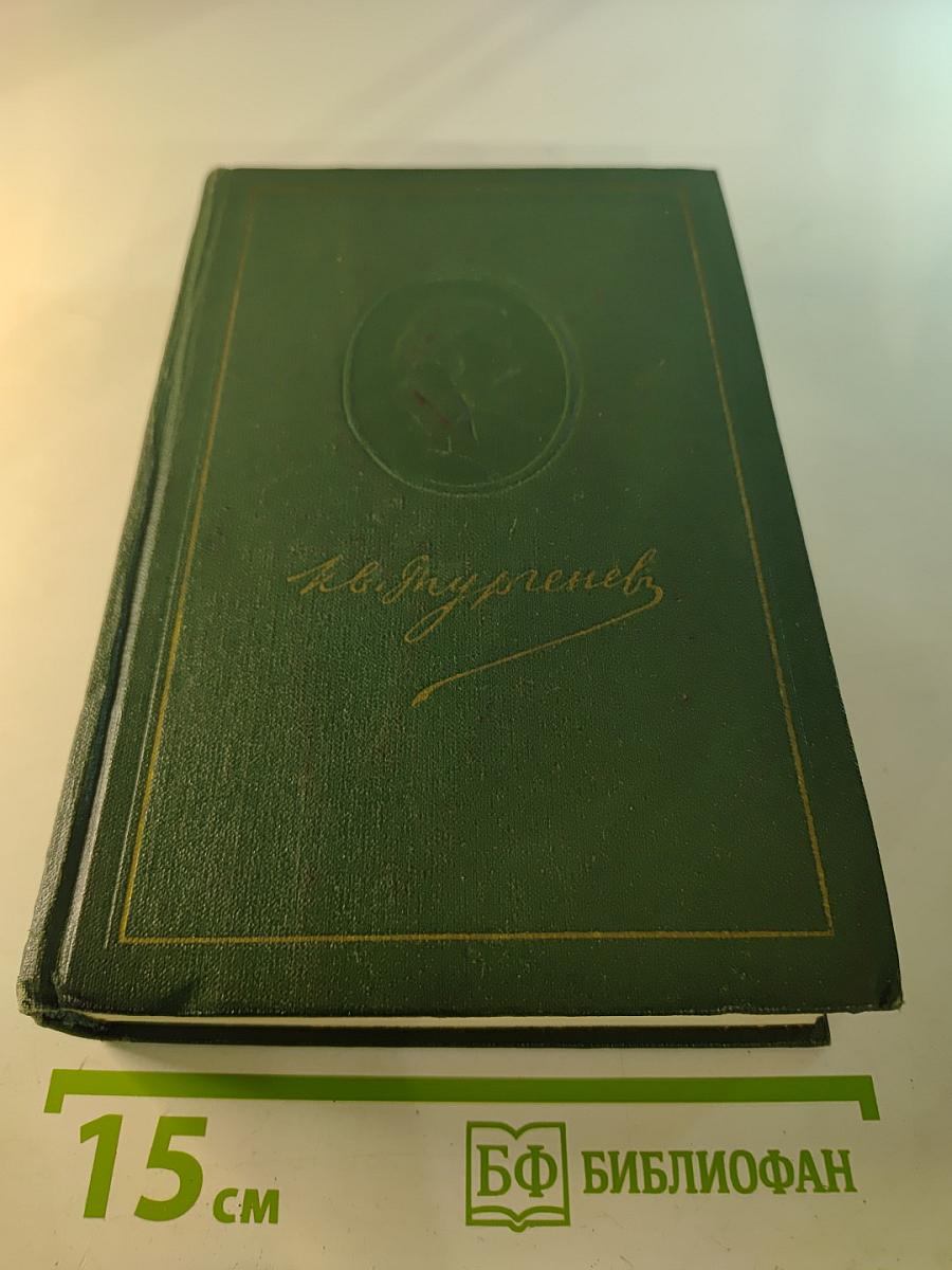 Собрание сочинений. Том восьмой: Повести и рассказы 1871-1883 годов. Стихотворения в прозе