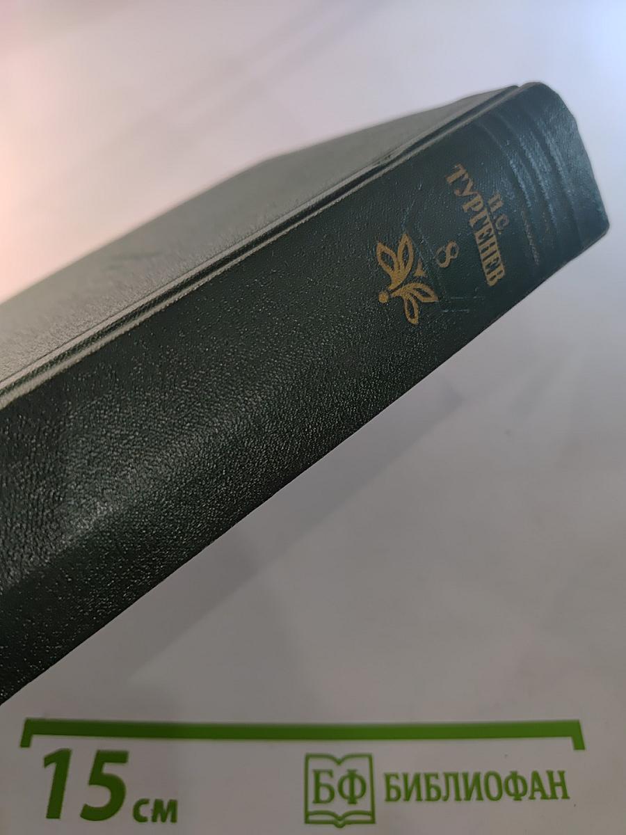 Собрание сочинений. Том восьмой: Повести и рассказы 1871-1883 годов. Стихотворения в прозе