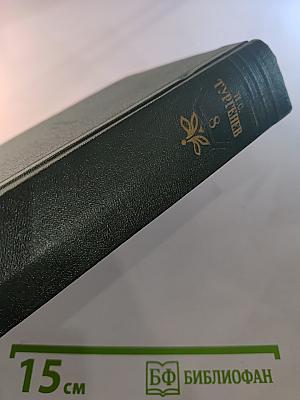 Собрание сочинений. Том восьмой: Повести и рассказы 1871-1883 годов. Стихотворения в прозе