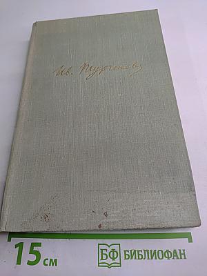Собрание сочинений. Том десятый. Стихотворения в прозе. Литературные и житейские воспоминания. Избранные статьи и речи