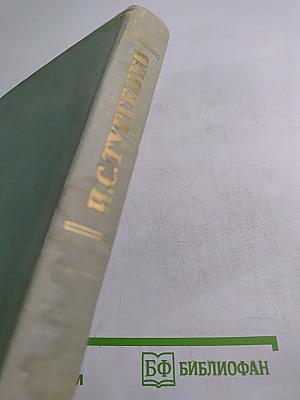 Собрание сочинений. Том десятый. Стихотворения в прозе. Литературные и житейские воспоминания. Избранные статьи и речи