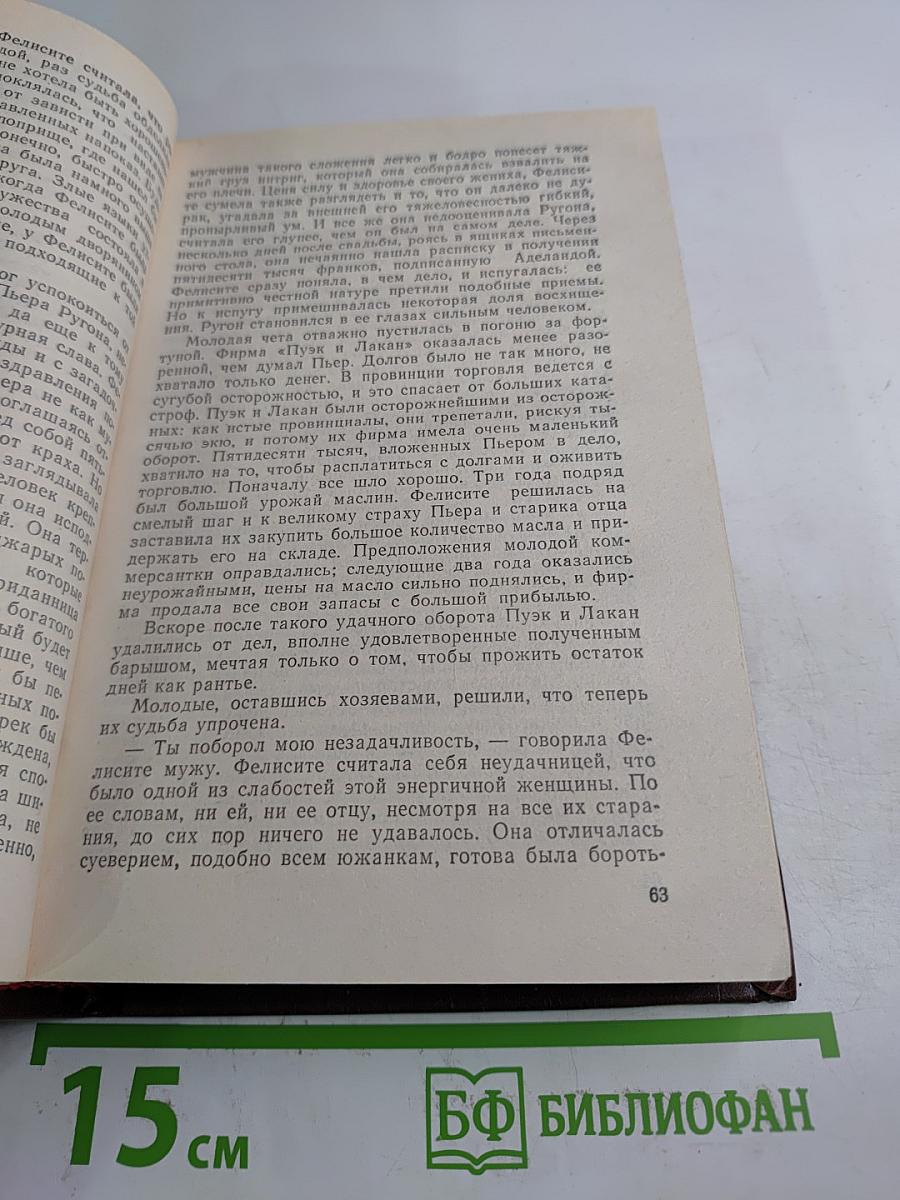Эмиль Золя. Том первый. Карьера Ругонов. Добыча