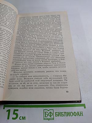 Эмиль Золя. Том первый. Карьера Ругонов. Добыча