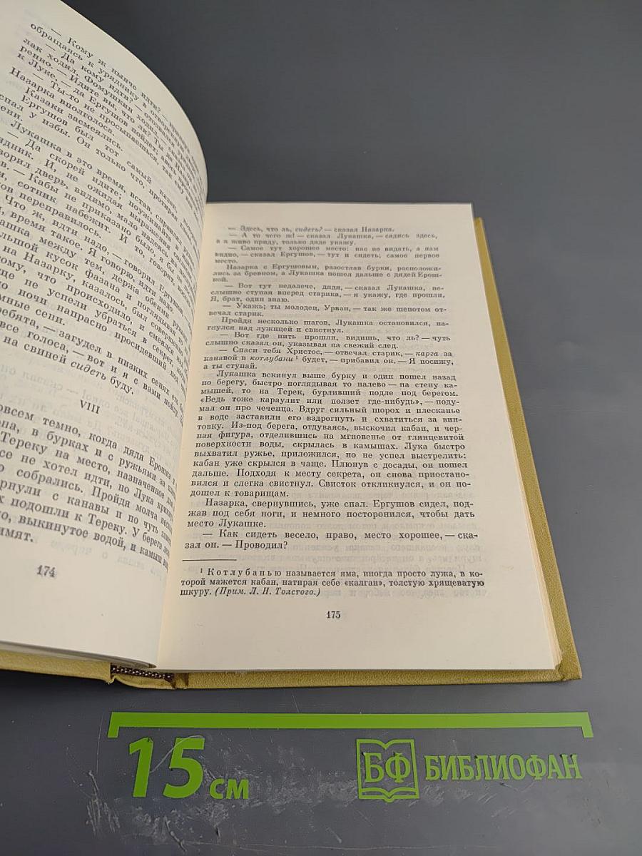 Собрание сочинений. Том третий: Повести и рассказы 1857-1863 гг.