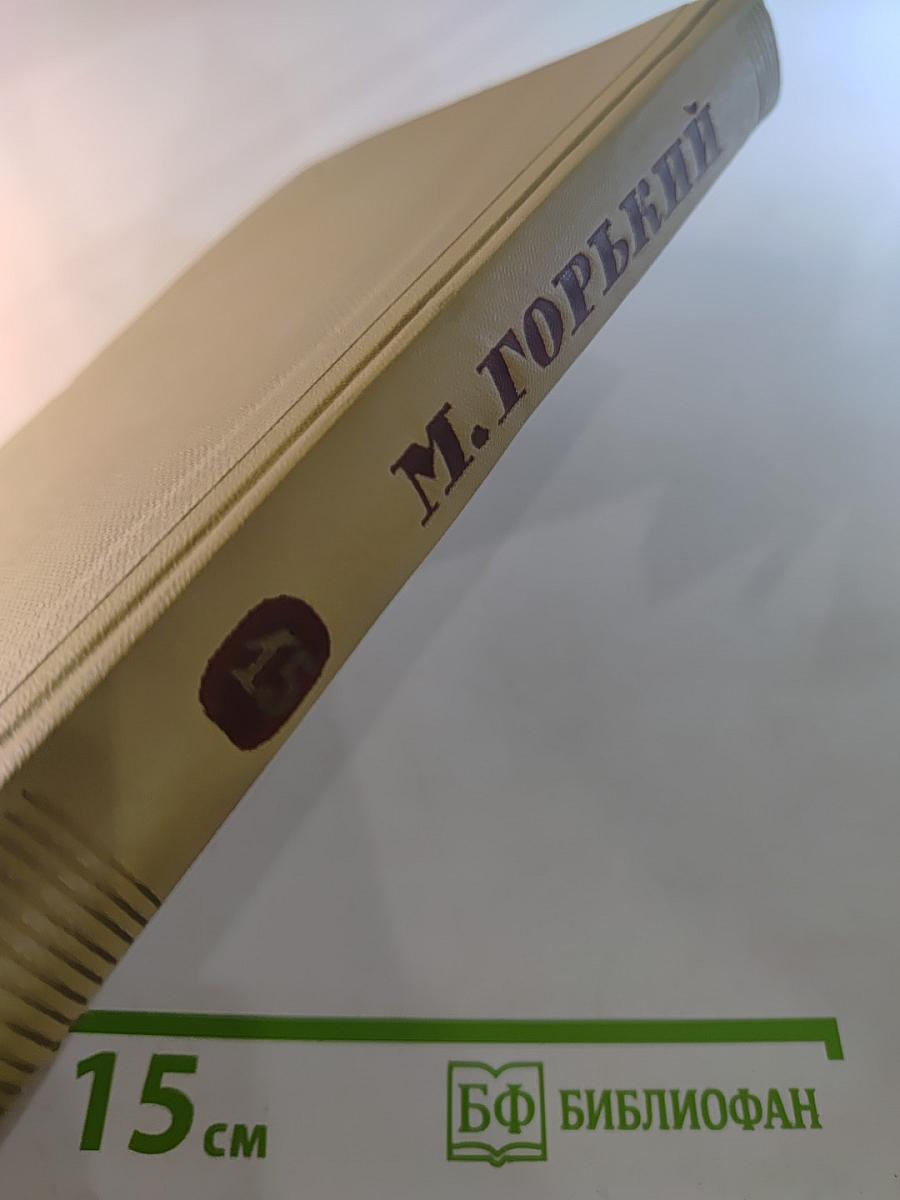 Собрание сочинений. Том 15. Жизнь Клима Самгина