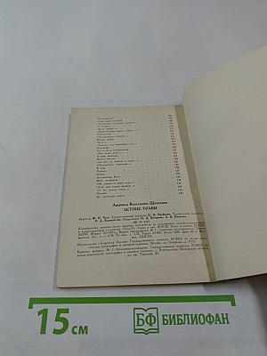 Летние травы