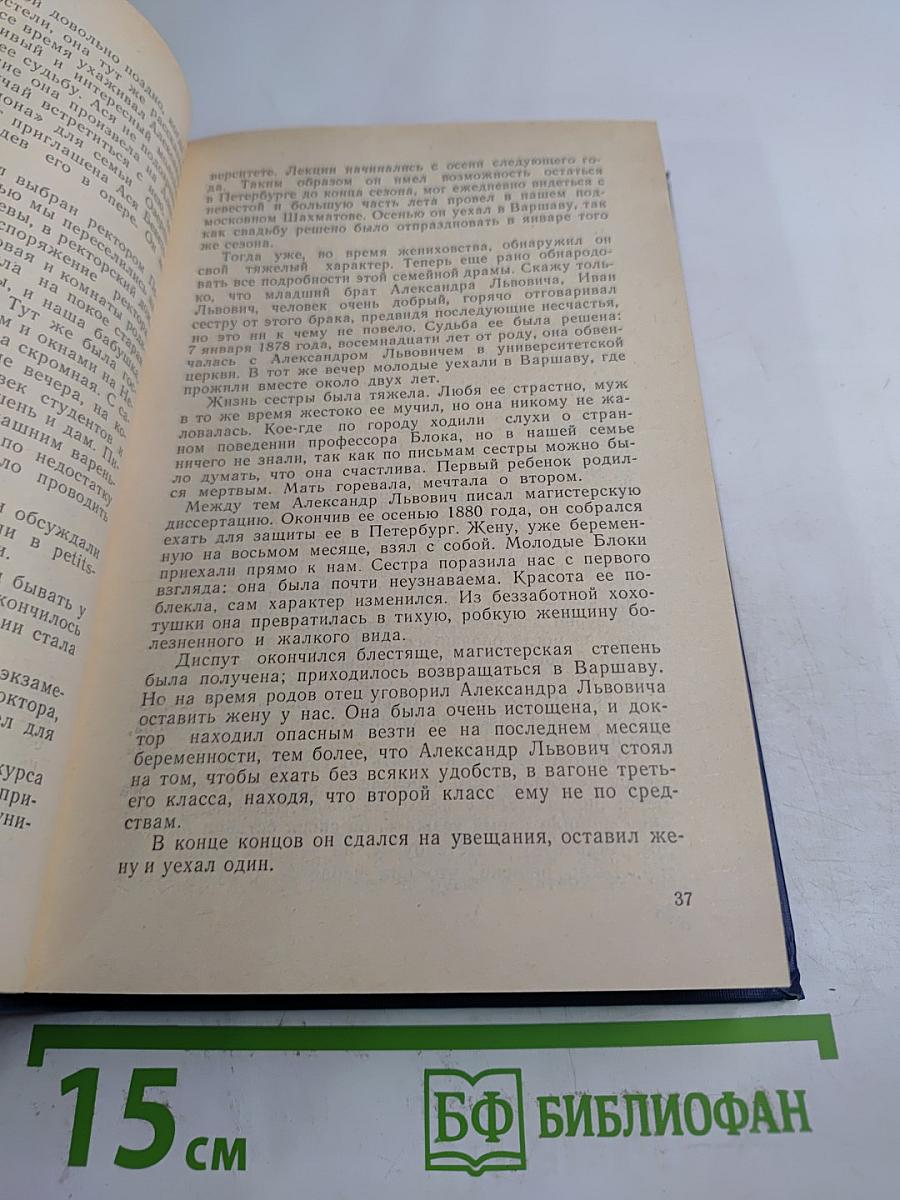 Я лучшей доли не искал... Судьба Александра Блока в письмах, дневниках, воспоминаниях