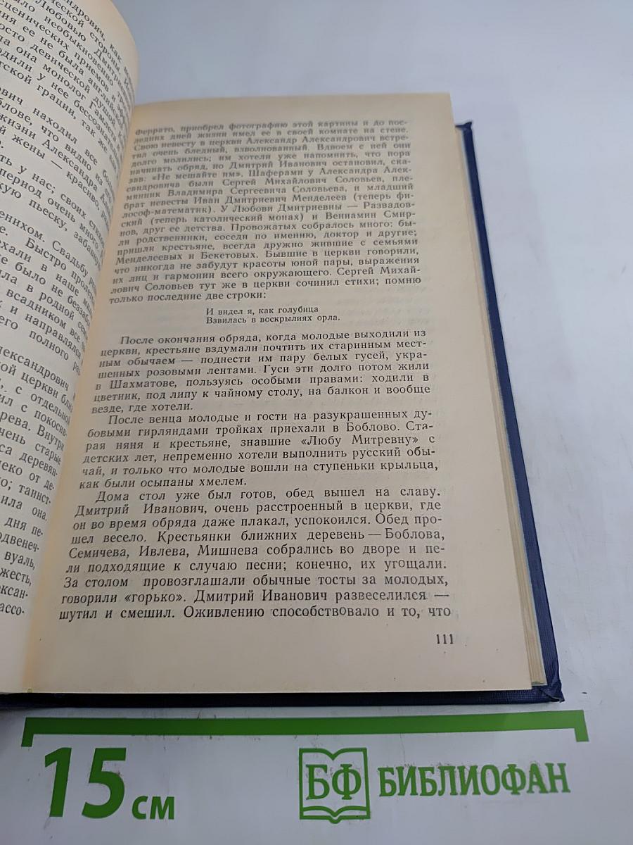 Я лучшей доли не искал... Судьба Александра Блока в письмах, дневниках, воспоминаниях