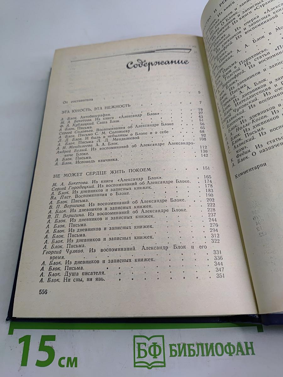 Я лучшей доли не искал... Судьба Александра Блока в письмах, дневниках, воспоминаниях