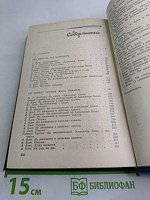 Я лучшей доли не искал... Судьба Александра Блока в письмах, дневниках, воспоминаниях