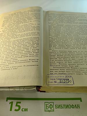 Мечта поэта