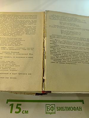 Мечта поэта