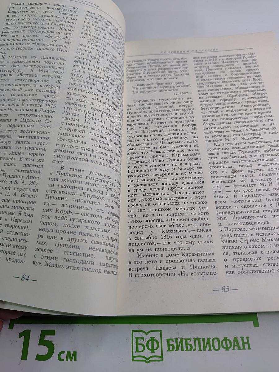 Солнце нашей поэзии