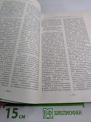 Солнце нашей поэзии