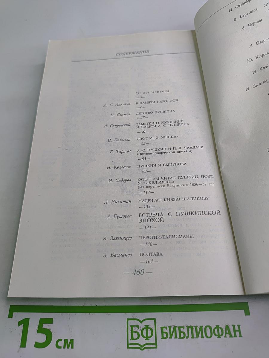 Солнце нашей поэзии