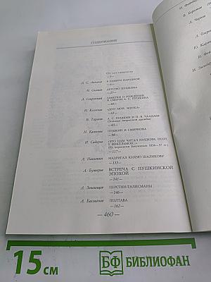 Солнце нашей поэзии