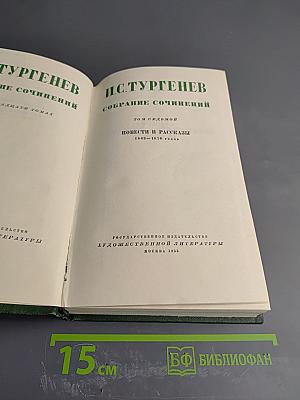 Собрание сочинений. Том седьмой: Повести и рассказы 1863-1870 годов