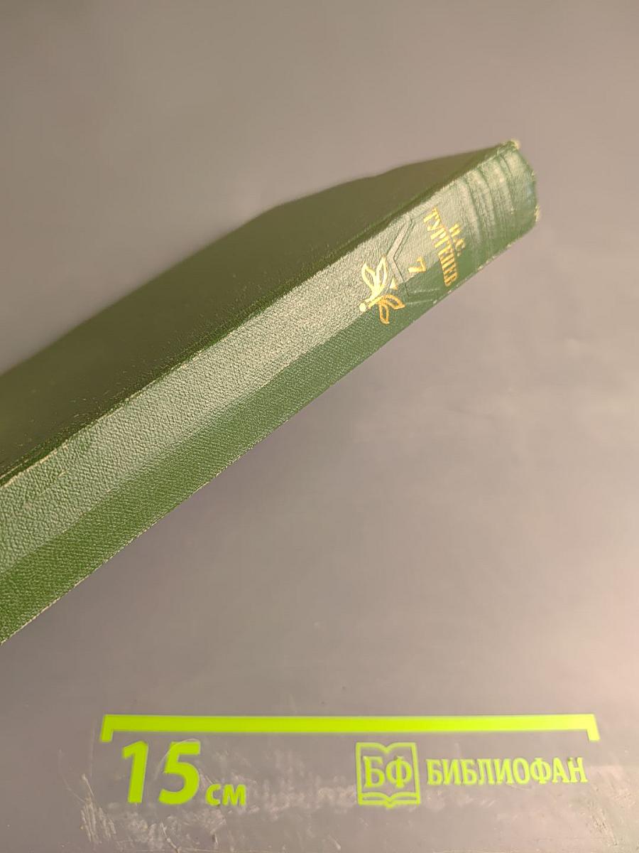 Собрание сочинений. Том седьмой: Повести и рассказы 1863-1870 годов