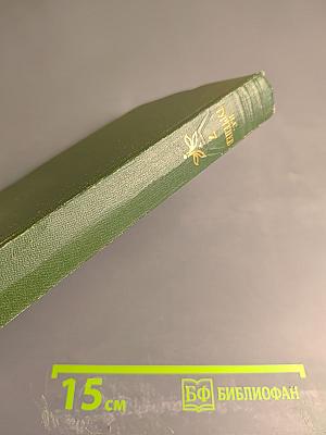 Собрание сочинений. Том седьмой: Повести и рассказы 1863-1870 годов