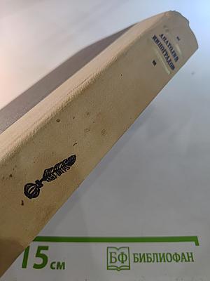 Три цвета времени