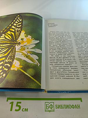 Белые тигры