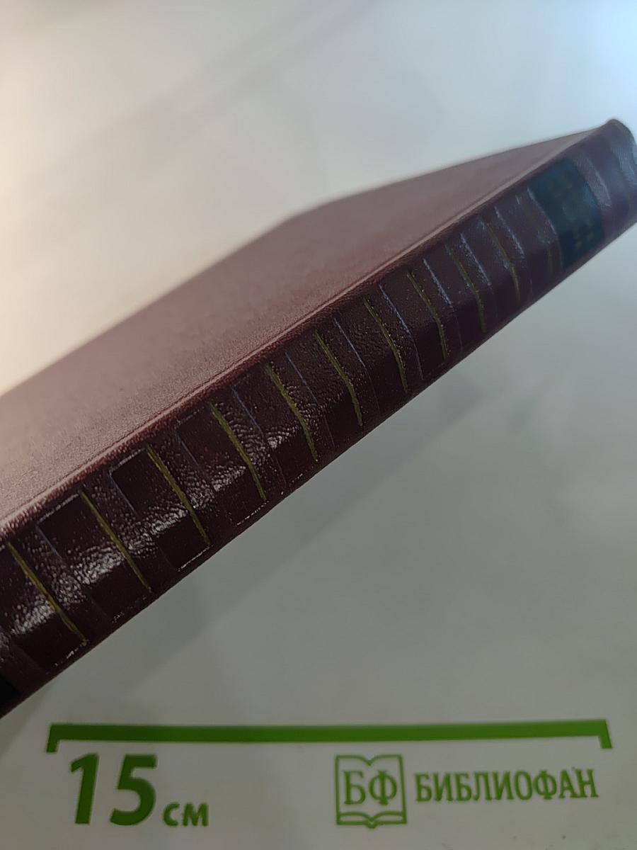 Собрание сочинений. Том пятый. Скутаревский