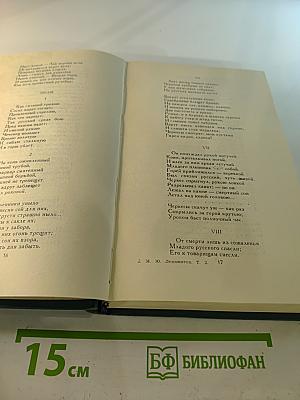 Собрание сочинений в четырех томах. Том 2