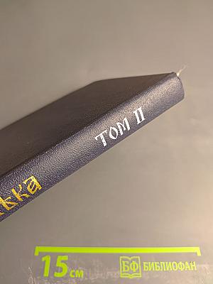 Три века. Россия от Смуты до нашего времени. Том 2. XVII век. Вторая половина