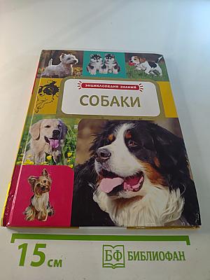 Собаки
