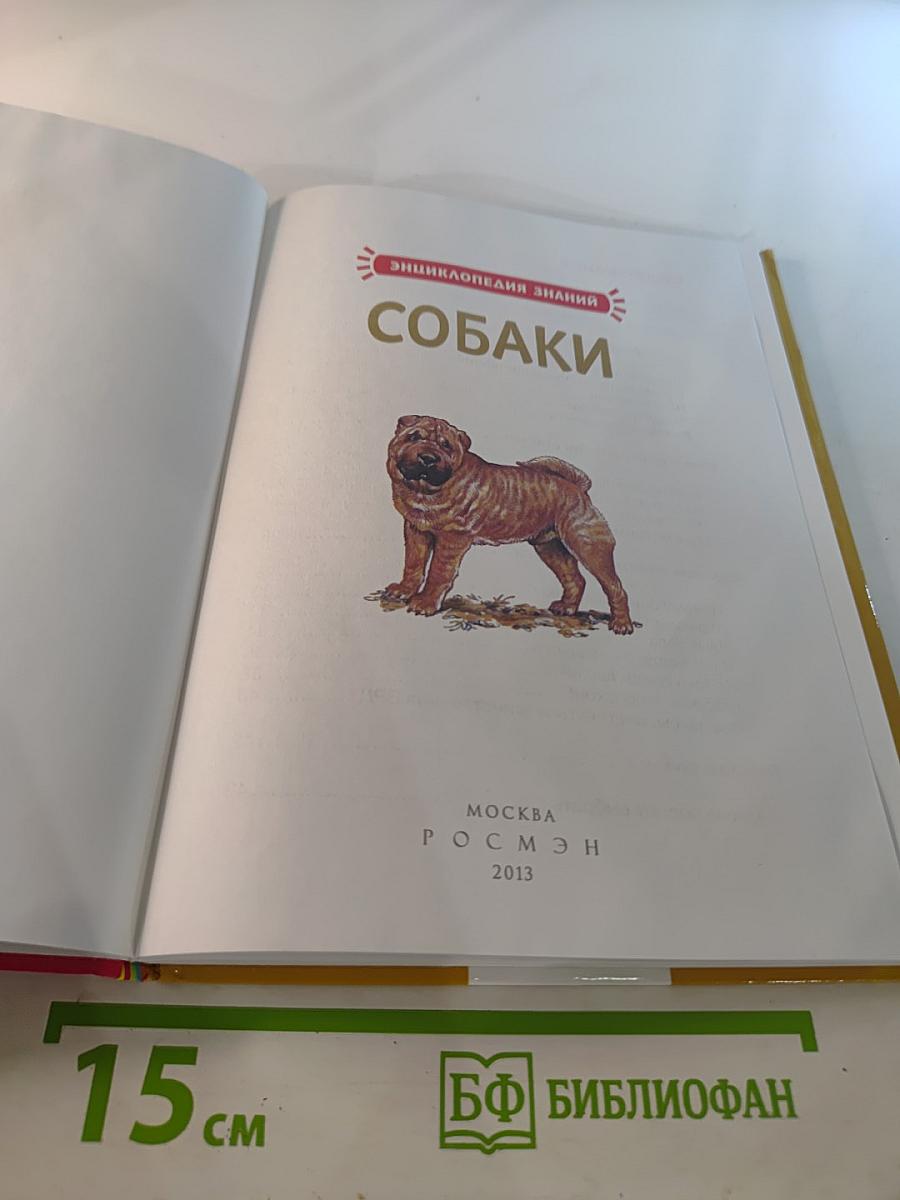 Собаки