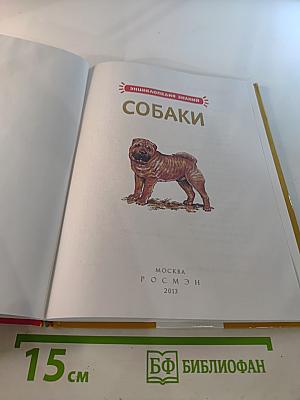 Собаки