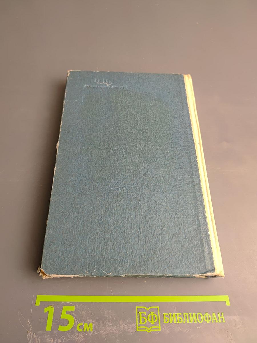 Наташа Ковшова