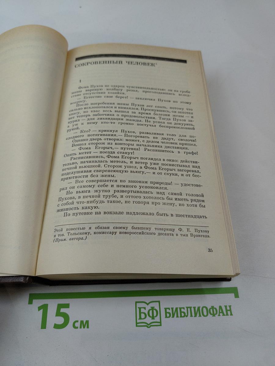 Государственный житель. Проза. Ранние сочинения. Письма
