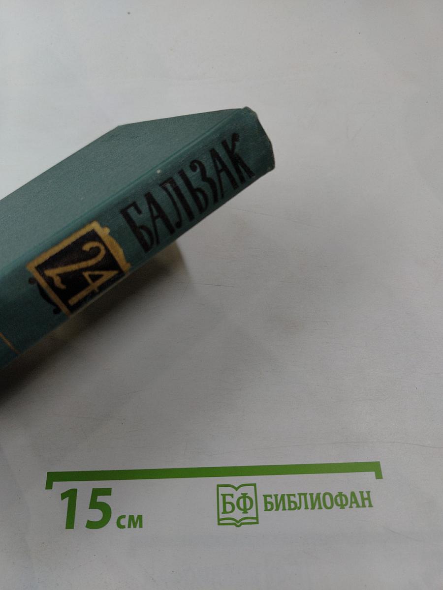 Литературно-критические статьи. Том 24