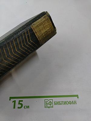 Собрание сочинений. Том восьмой. Емельян Пугачев. Историческое повествование. Книга третья