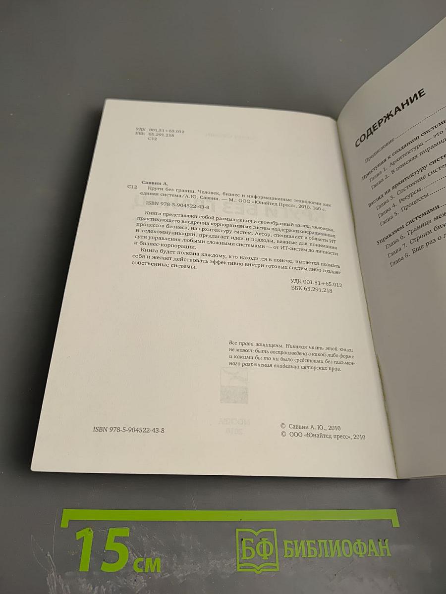 Круги без границ. Человек, бизнес и информационные технологии как единая система