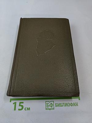Собрание сочинений. Том четырнадцатый: Повести и рассказы 1903-1910 гг.