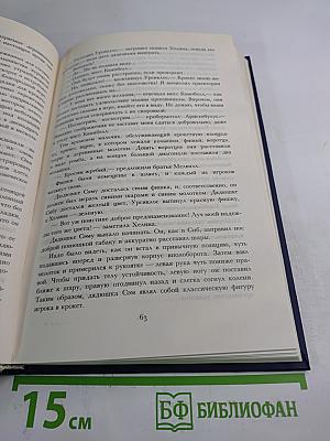 Зеленый Луч. Замок в Карпатах