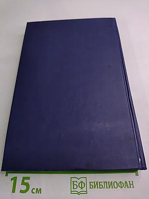 Зеленый Луч. Замок в Карпатах