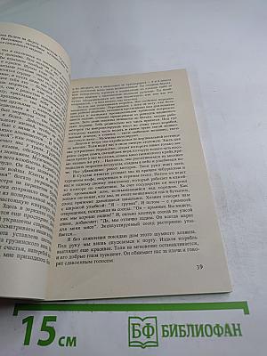 Владимир, или Прерванный полёт