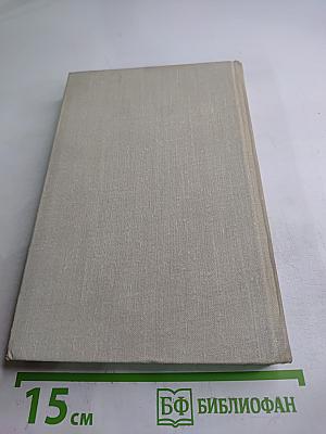 От Невы до Эльбы