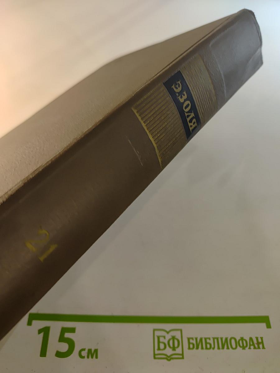 Собрание сочинений. Том двадцать первый. Четвероевангелие. Труд